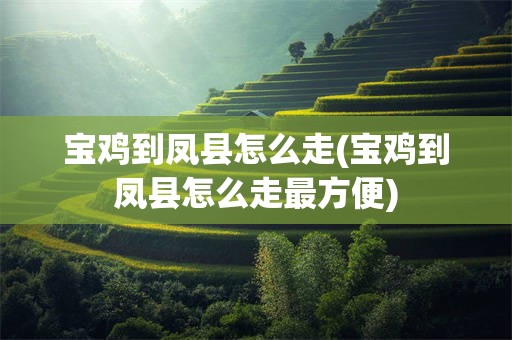 宝鸡到凤县怎么走(宝鸡到凤县怎么走最方便)