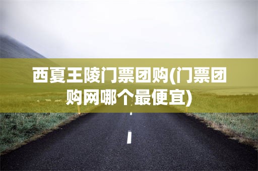 西夏王陵门票团购(门票团购网哪个最便宜)