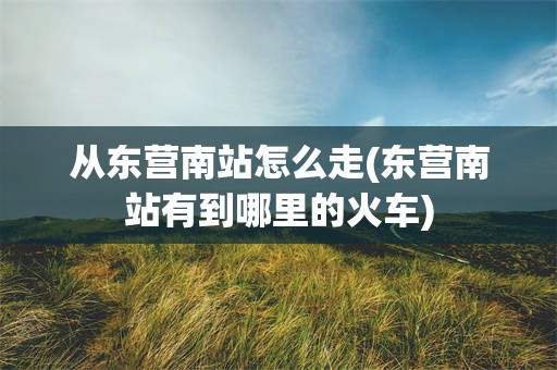 从东营南站怎么走(东营南站有到哪里的火车)