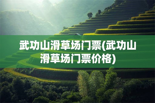 武功山滑草场门票(武功山滑草场门票价格)