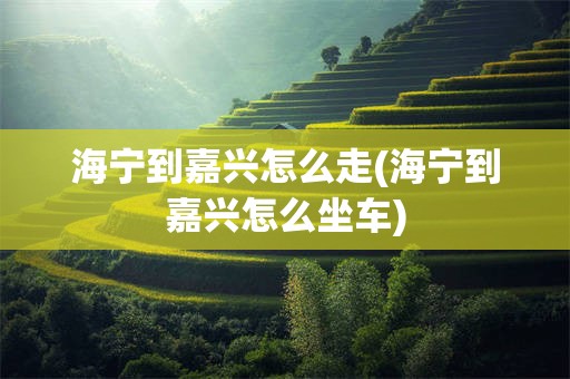 海宁到嘉兴怎么走(海宁到嘉兴怎么坐车)