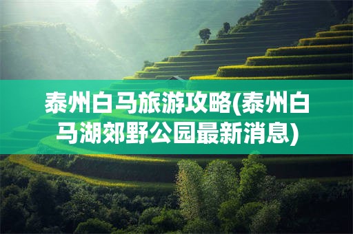 泰州白马旅游攻略(泰州白马湖郊野公园最新消息)