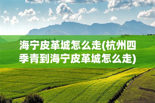 海宁皮革城怎么走(杭州四季青到海宁皮革城怎么走)