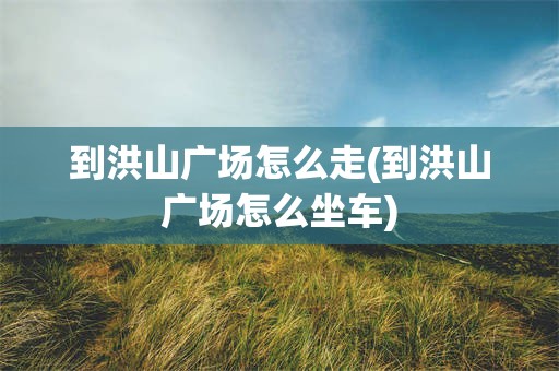 到洪山广场怎么走(到洪山广场怎么坐车)