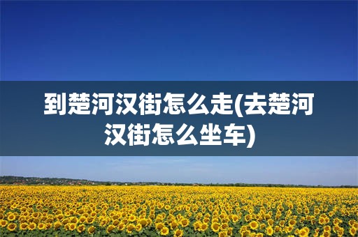 到楚河汉街怎么走(去楚河汉街怎么坐车)