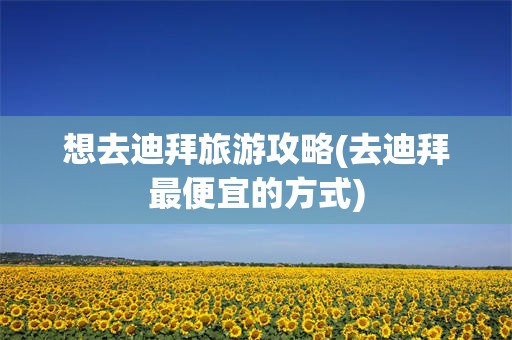 想去迪拜旅游攻略(去迪拜最便宜的方式)