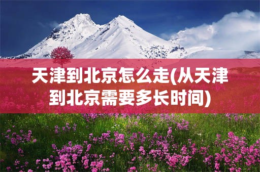 天津到北京怎么走(从天津到北京需要多长时间)