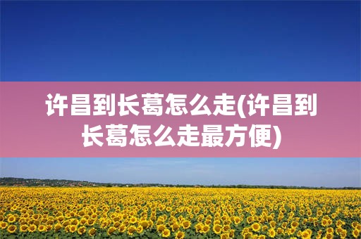 许昌到长葛怎么走(许昌到长葛怎么走最方便)