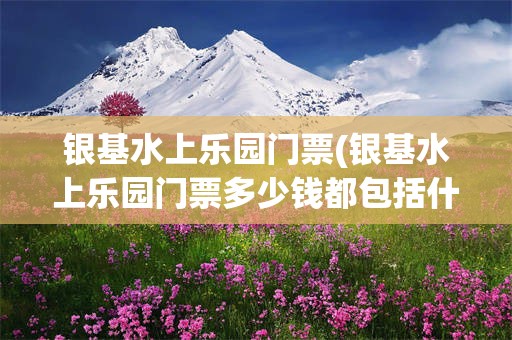 银基水上乐园门票(银基水上乐园门票多少钱都包括什么项目)