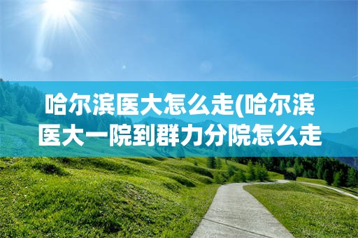 哈尔滨医大怎么走(哈尔滨医大一院到群力分院怎么走)