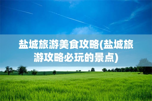 盐城旅游美食攻略(盐城旅游攻略必玩的景点)