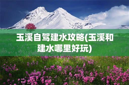 玉溪自驾建水攻略(玉溪和建水哪里好玩)