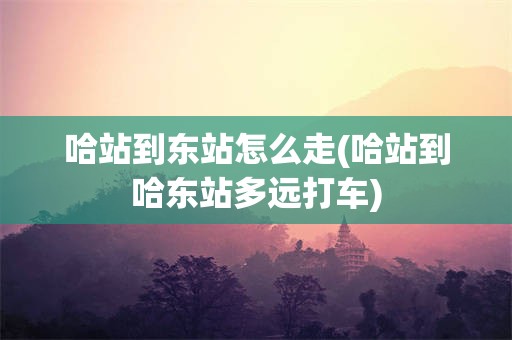哈站到东站怎么走(哈站到哈东站多远打车)
