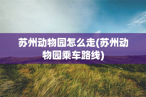 苏州动物园怎么走(苏州动物园乘车路线)