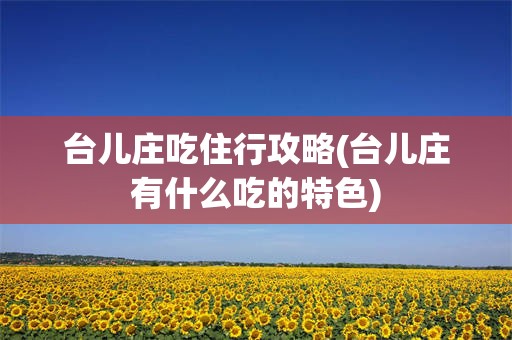 台儿庄吃住行攻略(台儿庄有什么吃的特色)