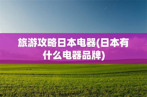 旅游攻略日本电器(日本有什么电器品牌)