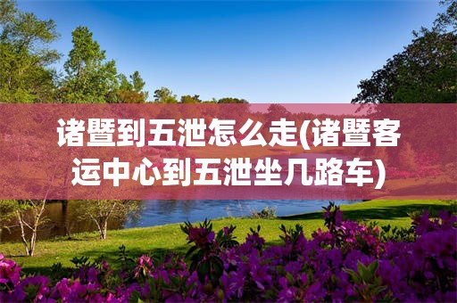 诸暨到五泄怎么走(诸暨客运中心到五泄坐几路车)