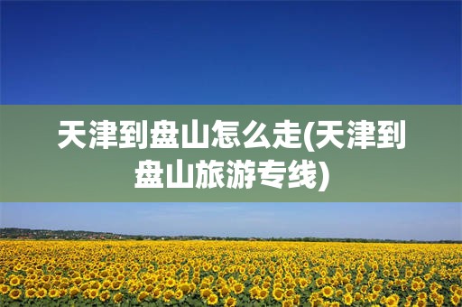 天津到盘山怎么走(天津到盘山旅游专线)