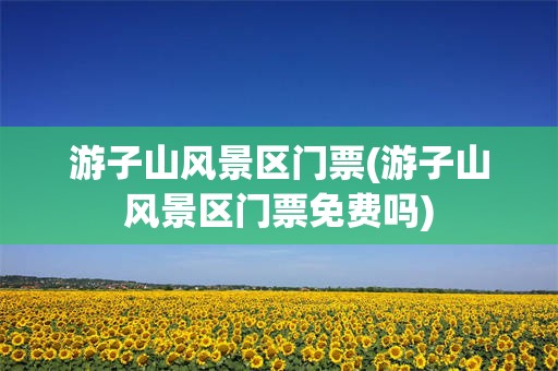 游子山风景区门票(游子山风景区门票免费吗)