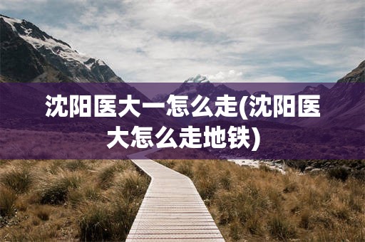 沈阳医大一怎么走(沈阳医大怎么走地铁)