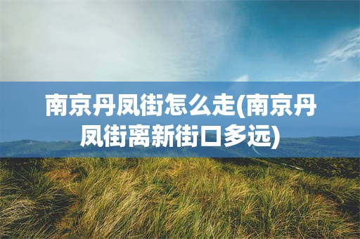 南京丹凤街怎么走(南京丹凤街离新街口多远)