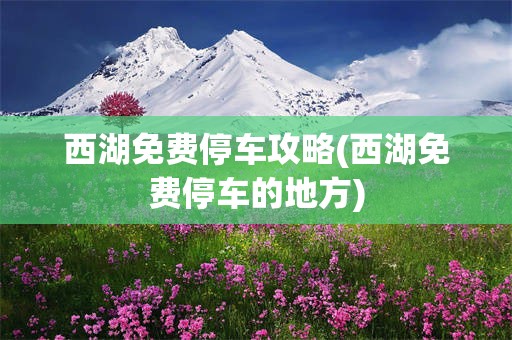 西湖免费停车攻略(西湖免费停车的地方)