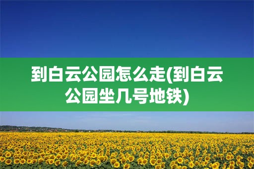 到白云公园怎么走(到白云公园坐几号地铁)