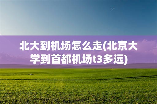 北大到机场怎么走(北京大学到首都机场t3多远)