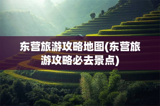 东营旅游攻略地图(东营旅游攻略必去景点)