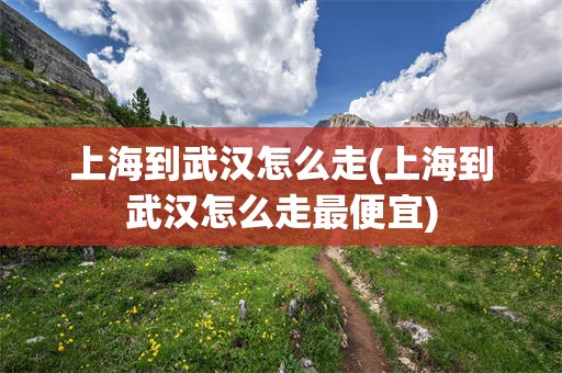 上海到武汉怎么走(上海到武汉怎么走最便宜)