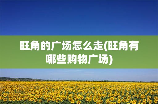 旺角的广场怎么走(旺角有哪些购物广场)