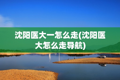 沈阳医大一怎么走(沈阳医大怎么走导航)