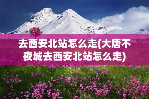 去西安北站怎么走(大唐不夜城去西安北站怎么走)