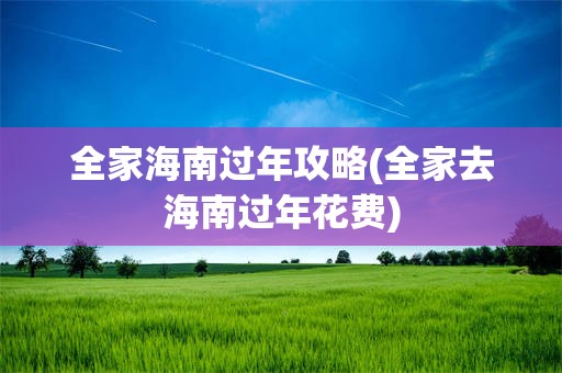 全家海南过年攻略(全家去海南过年花费)