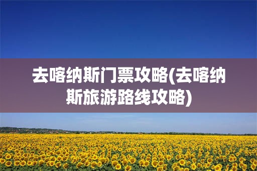 去喀纳斯门票攻略(去喀纳斯旅游路线攻略)
