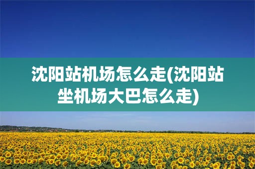 沈阳站机场怎么走(沈阳站坐机场大巴怎么走)