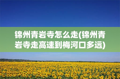 锦州青岩寺怎么走(锦州青岩寺走高速到梅河口多远)