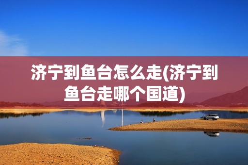 济宁到鱼台怎么走(济宁到鱼台走哪个国道)