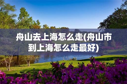 舟山去上海怎么走(舟山市到上海怎么走最好)