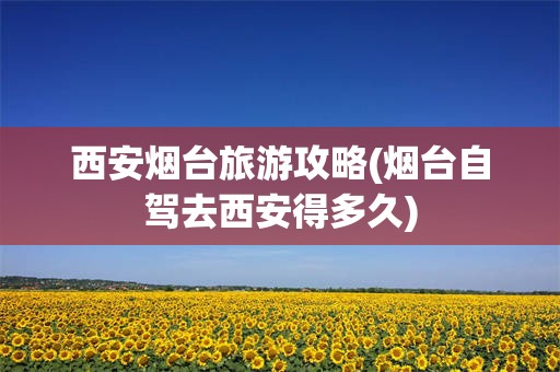 西安烟台旅游攻略(烟台自驾去西安得多久)