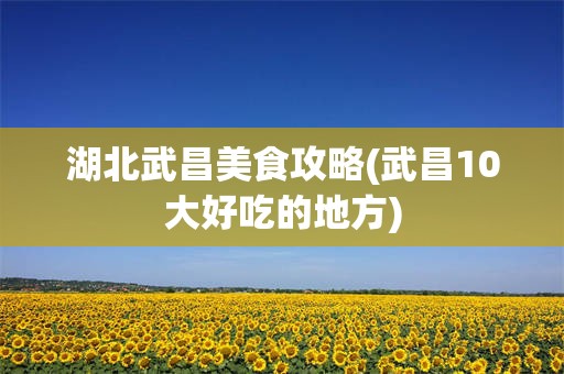 湖北武昌美食攻略(武昌10大好吃的地方)