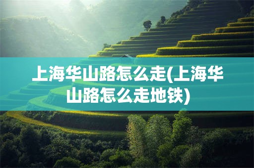 上海华山路怎么走(上海华山路怎么走地铁)