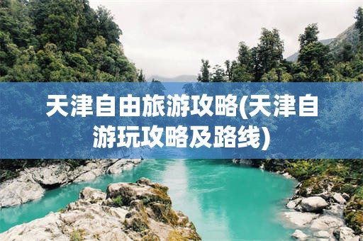 天津自由旅游攻略(天津自游玩攻略及路线)