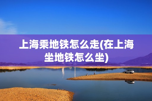上海乘地铁怎么走(在上海坐地铁怎么坐)