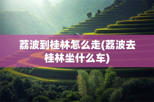 荔波到桂林怎么走(荔波去桂林坐什么车)