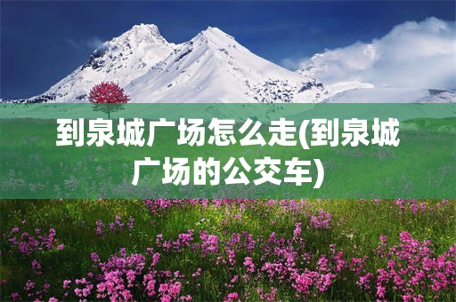 到泉城广场怎么走(到泉城广场的公交车)