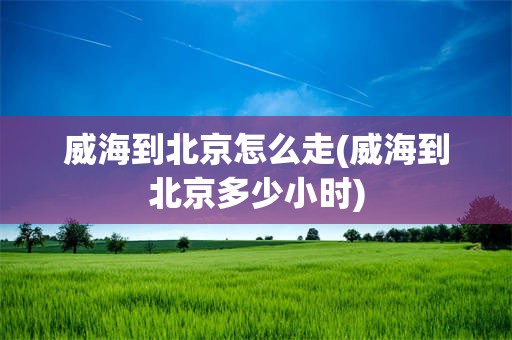 威海到北京怎么走(威海到北京多少小时)