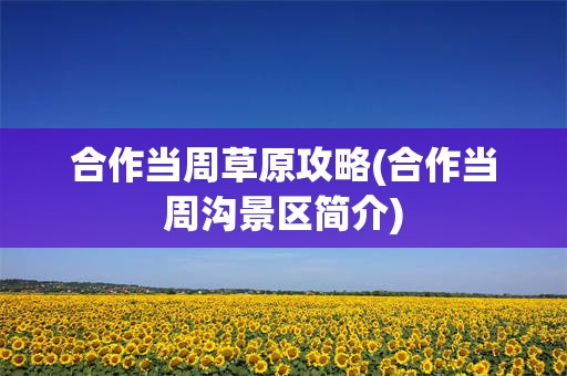 合作当周草原攻略(合作当周沟景区简介)