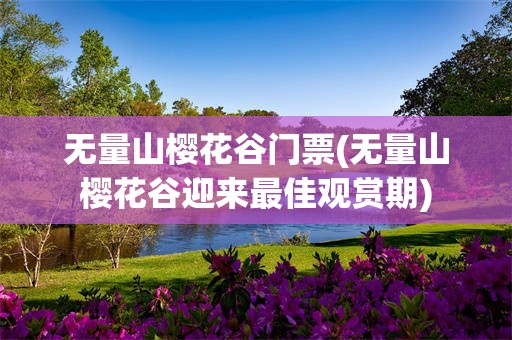 无量山樱花谷门票(无量山樱花谷迎来最佳观赏期)