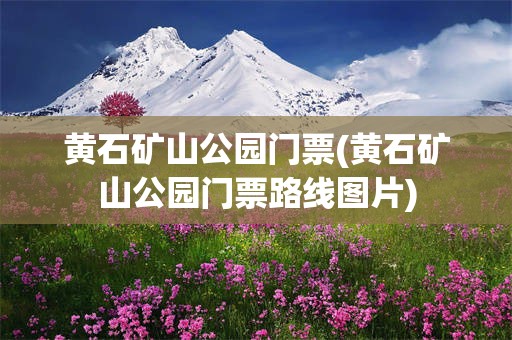 黄石矿山公园门票(黄石矿山公园门票路线图片)